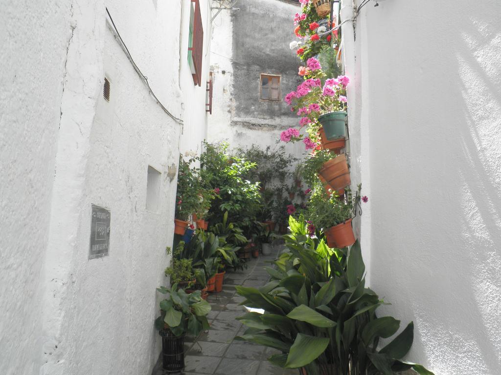 Hotel Juan Francisco Guejar-Sierra Bagian luar foto