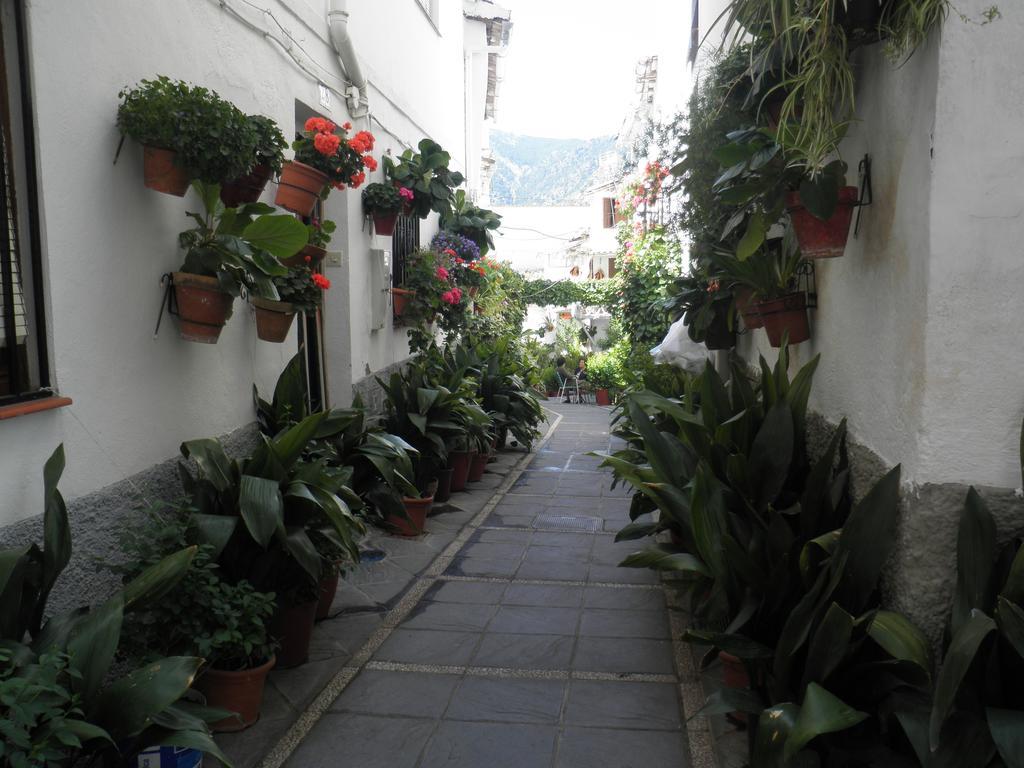 Hotel Juan Francisco Guejar-Sierra Bagian luar foto